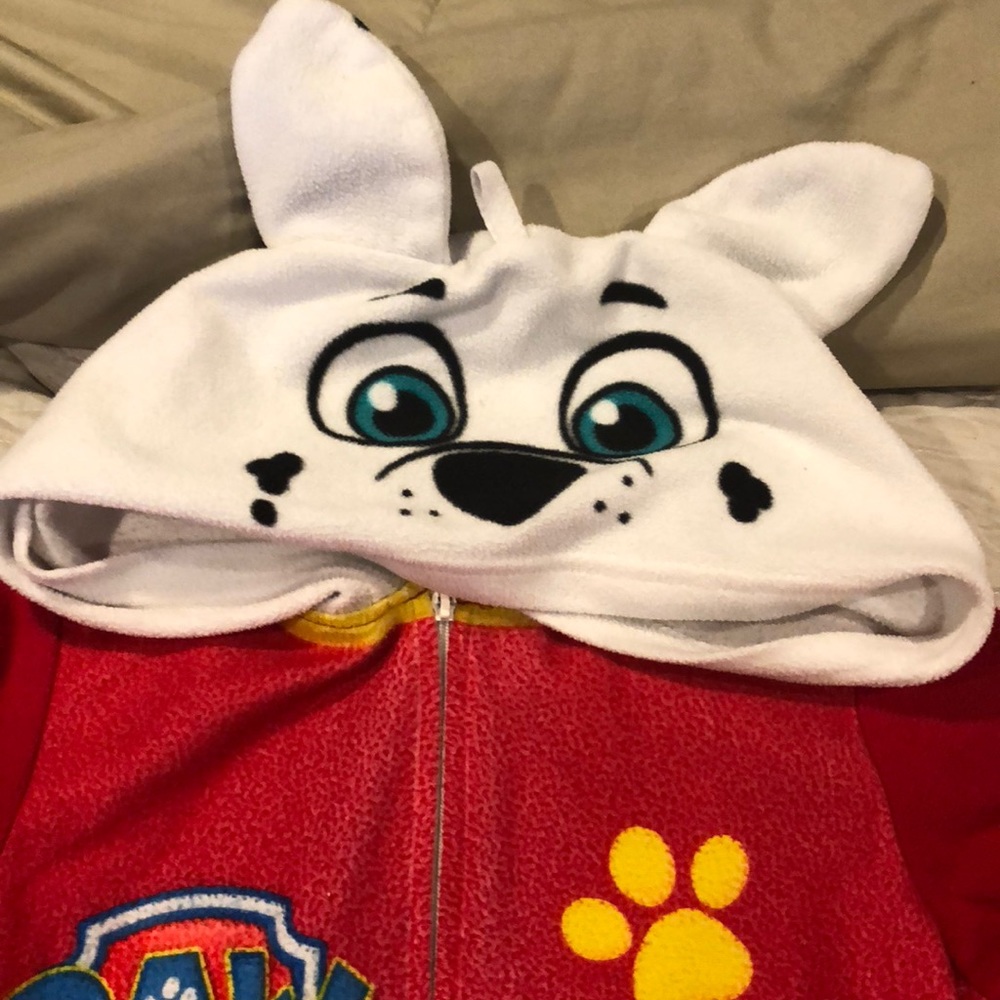 Paw patrol